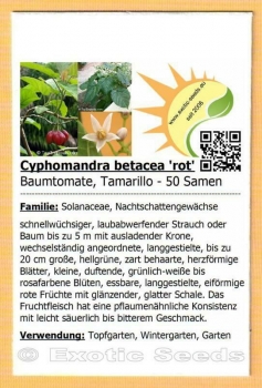 Cyphomandra betacea 'rot', Baumtomate, Tamarillo, 50 Samen